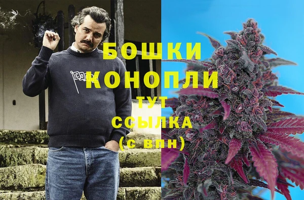 винт Баксан