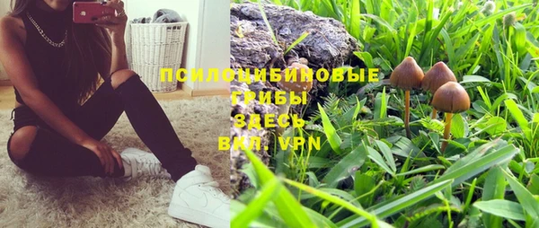 винт Баксан