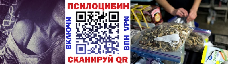 Купить  Славгород  Галлюциногенные грибы Psilocybine cubensis 
